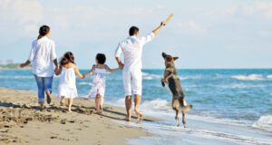 Dog Friendly Vacations: Where Can You Go?